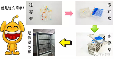 樣本凍存解決方案之凍存架、凍存盒、凍存管
