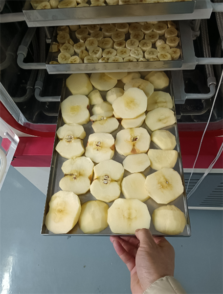 使用化妝品凍干機(jī)對(duì)面膜進(jìn)行凍干具體有哪些步驟？