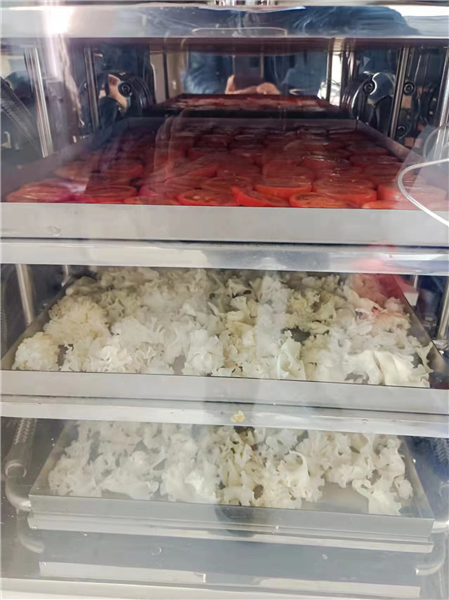 使用真空凍干機前需對物料進行預(yù)凍