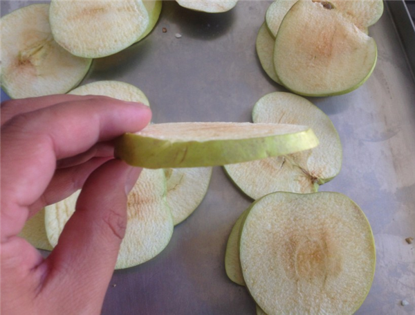 淺述制藥凍干機的各組成結(jié)構(gòu)起到的作用