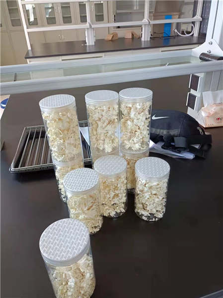 臺式冷凍干燥機(jī)的維護(hù)應(yīng)與及其操作、檢修密切配合