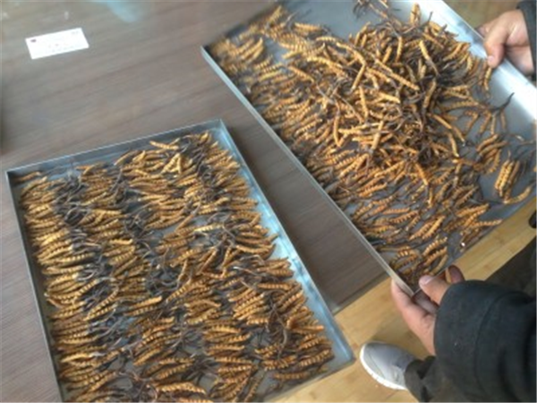 制藥凍干機(jī)中的加熱系統(tǒng)的作用是什么？