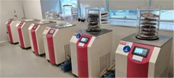 臺式冷凍干燥機在實驗室樣品處理中的應用