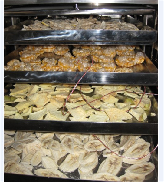 冷凍干燥機(jī)在食品凍干加工中需要注意哪些細(xì)節(jié)？
