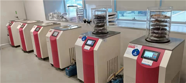 凍干機的真空泵更換油的條件及方法