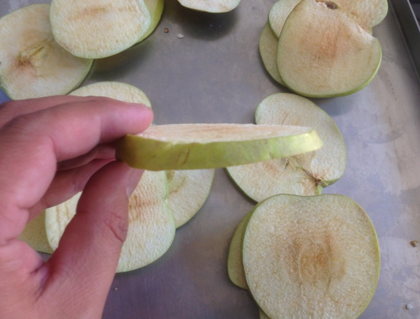 蘋果照片1.jpg